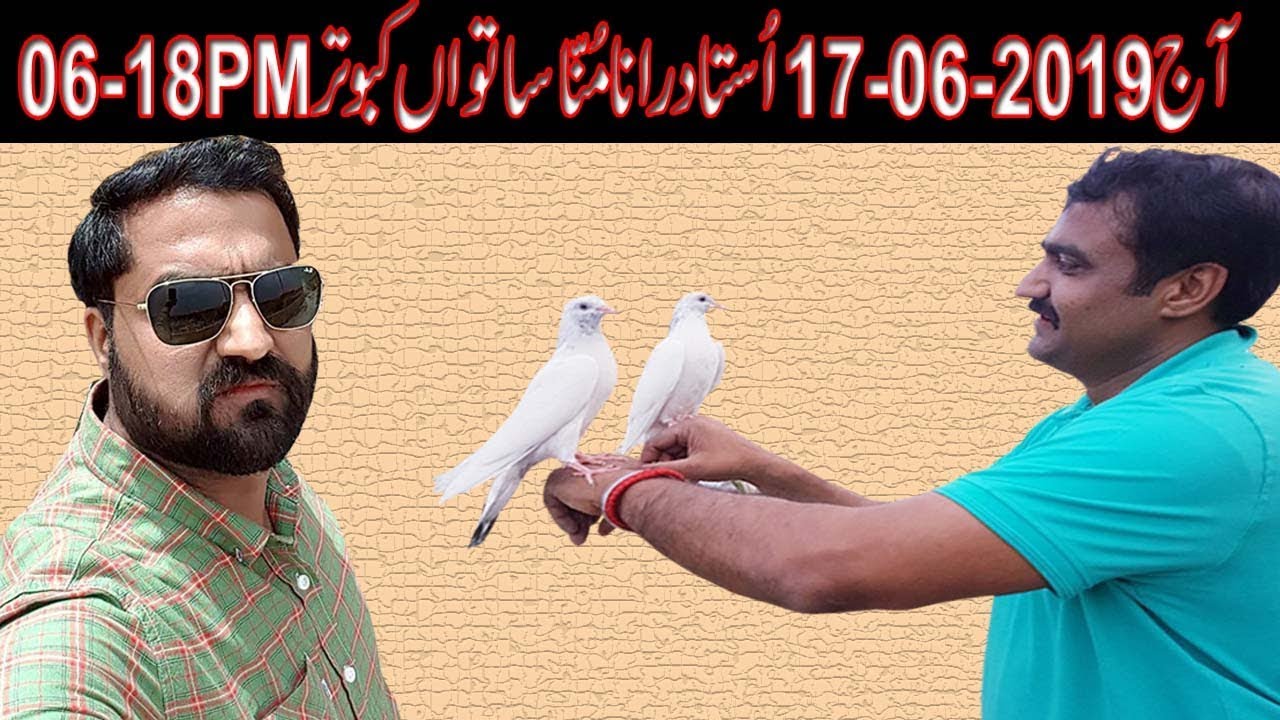 Today 17-06-2019 Ustad Rana Munna 7th Pigeon Landing.