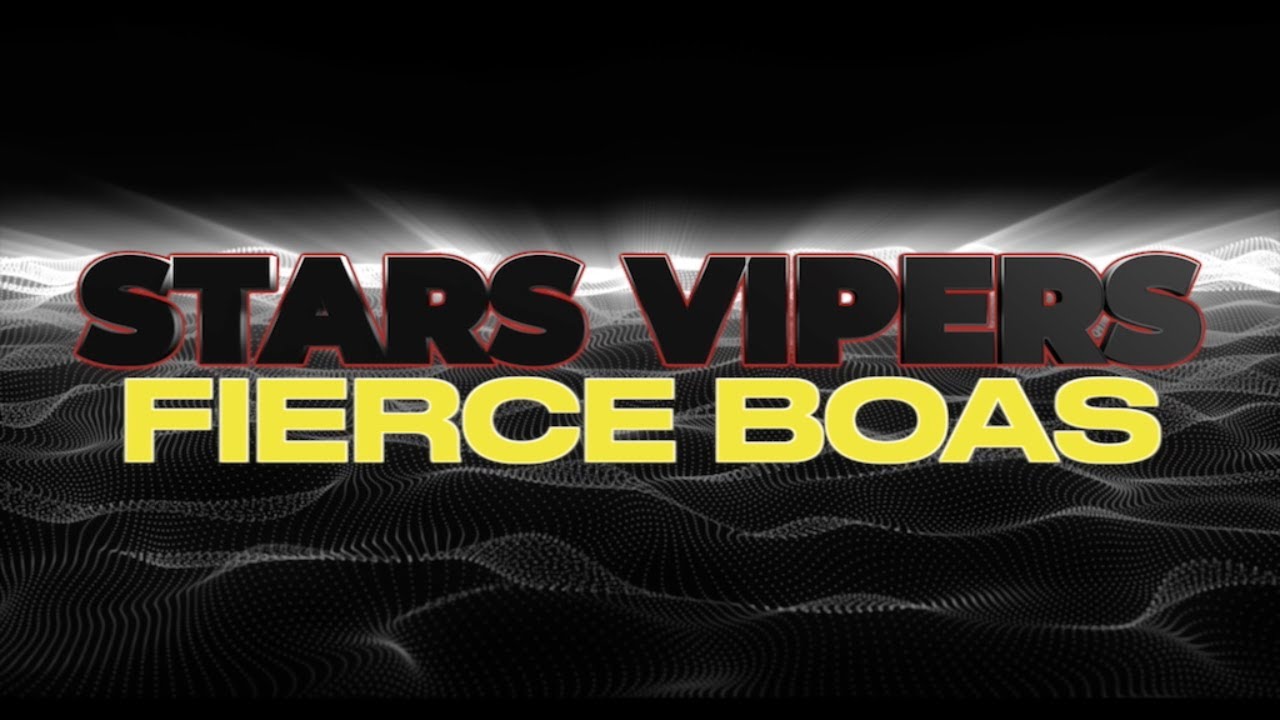Stars Vipers Fierce Boas 2024-2025