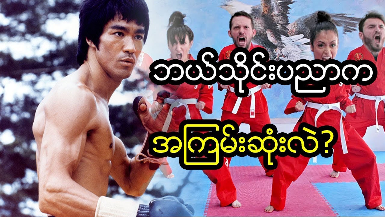 တစ်ကမ္ဘာလုံးမှာ သိုင်းပညာ ဘယ်နှစ်မျိုးလောက်တောင် ရှိနေပြီလဲ?