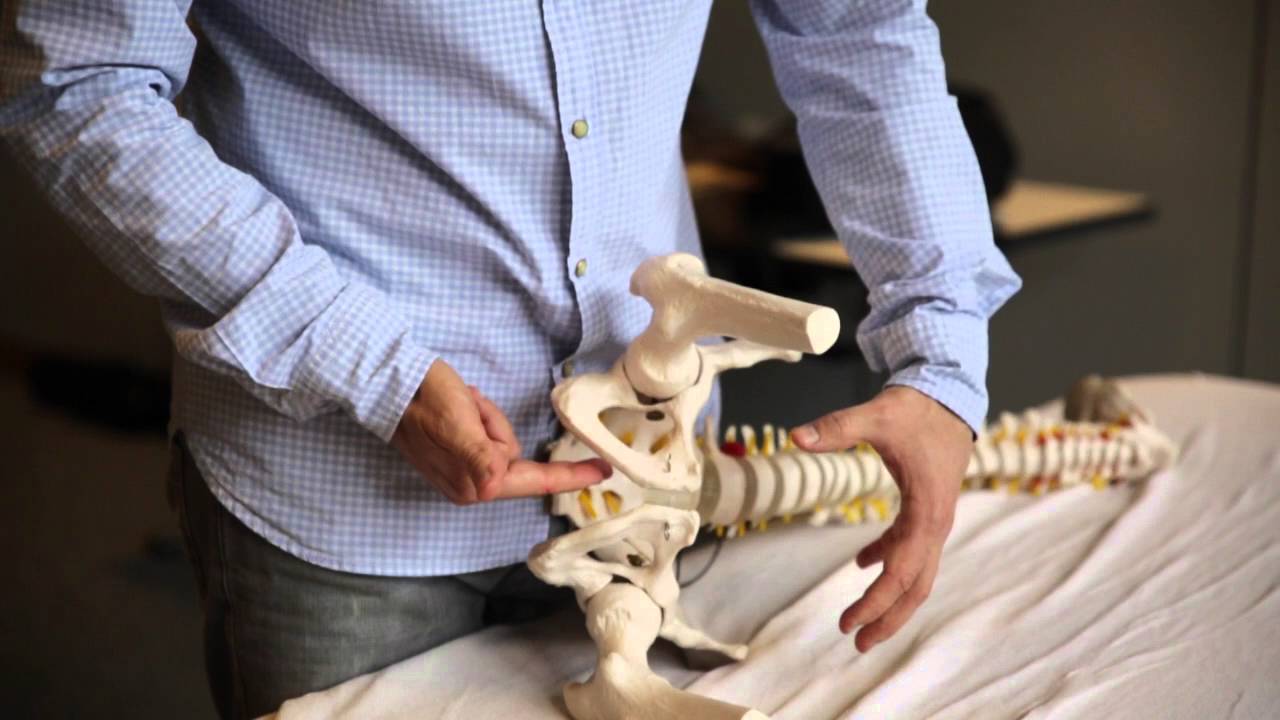 Osteopathie: Perineum Jesse de Groodt D.O.