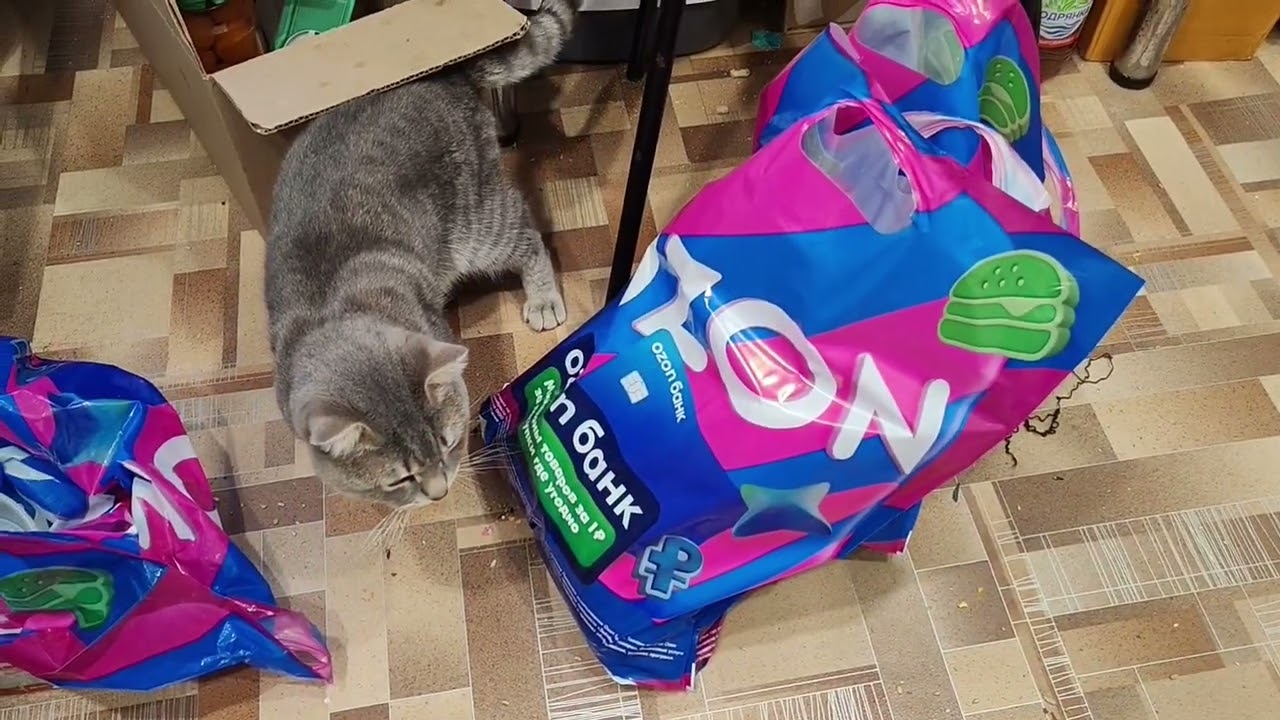 Уютная и счастливая жизнь в деревне, снег весной, цветы, деревенский уют