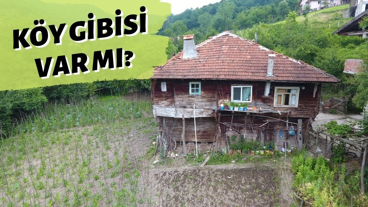 KÖY GİBİSİ VAR MI? (Bartın Hasankadı)