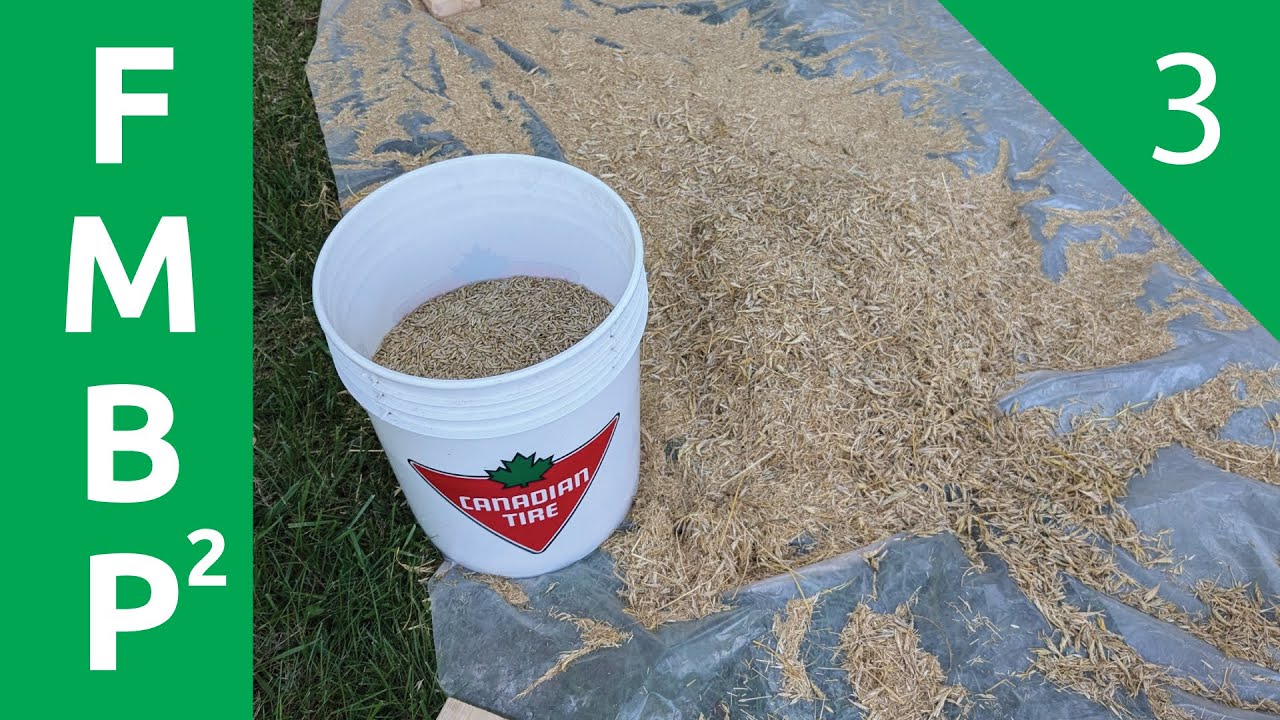 Bere Harvest - Fifty Meter Beer Project Year 2, Episode 3