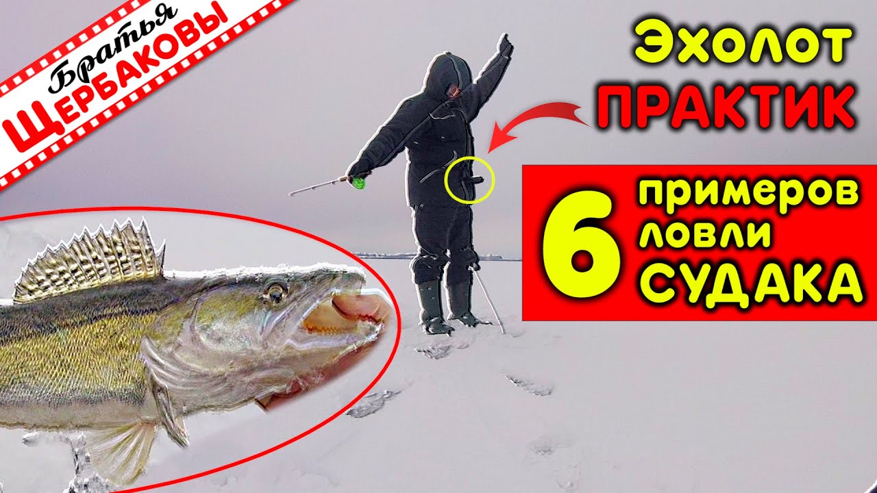 Поклевки ШЕСТИ СУДАКОВ на эхолоте Практик с ОБЪЯСНЕНИЯМИ. Сильные и СЛАБЫЕ СТОРОНЫ прибора В СХЕМАХ!