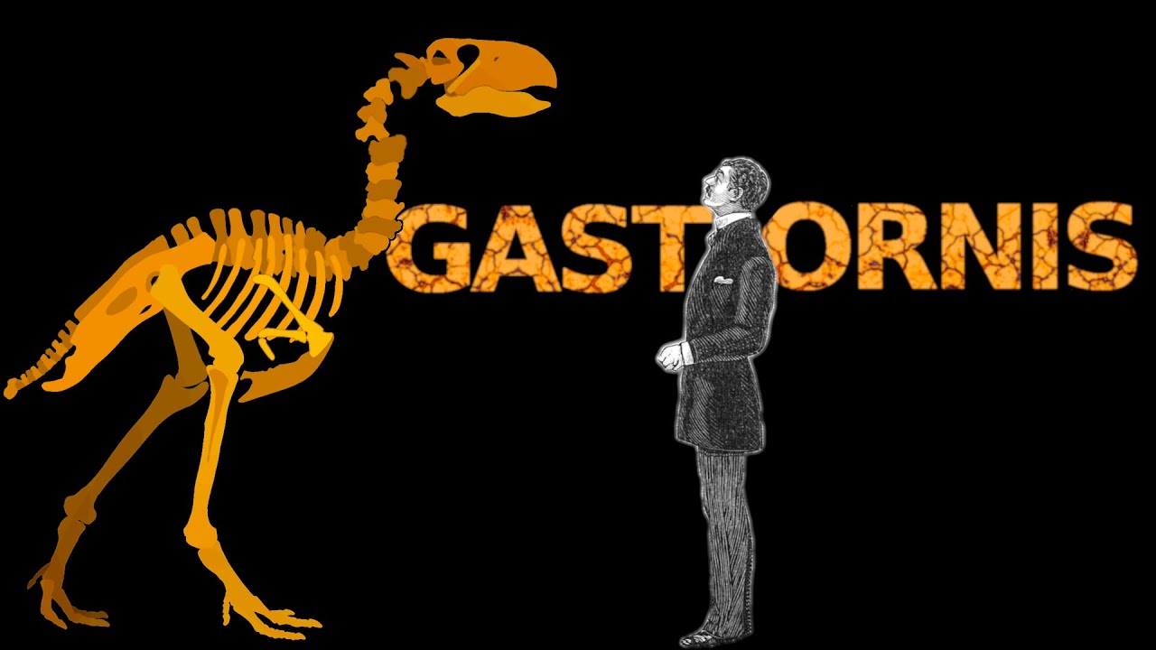 Gastornis (