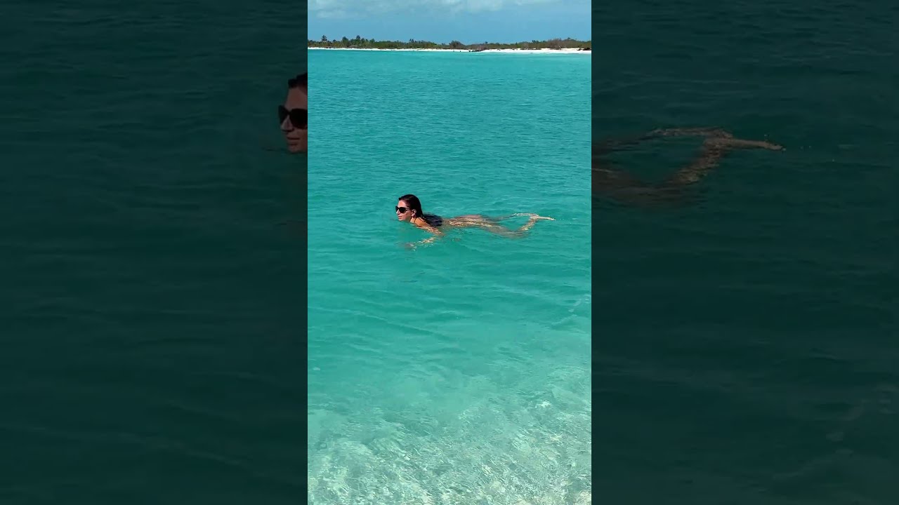 Caribbean Wild Swim in Crystal Clear Water 🌊 #shorts