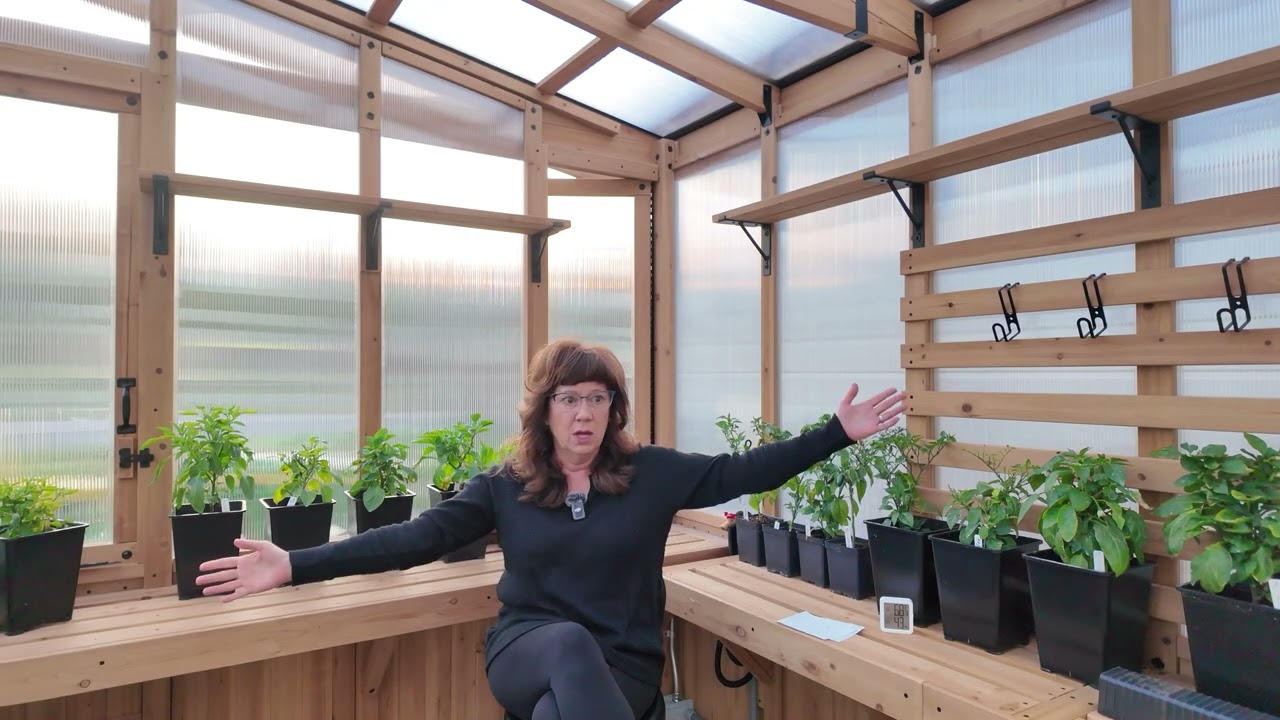 REVIEW | Backyard Discovery 11x7 Poppy Greenhouse!