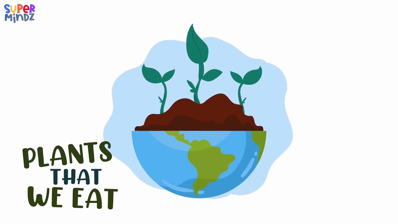 Plants that we eat | Fruits, Vegetables and more 😋| Science for Kids | SuperMindz