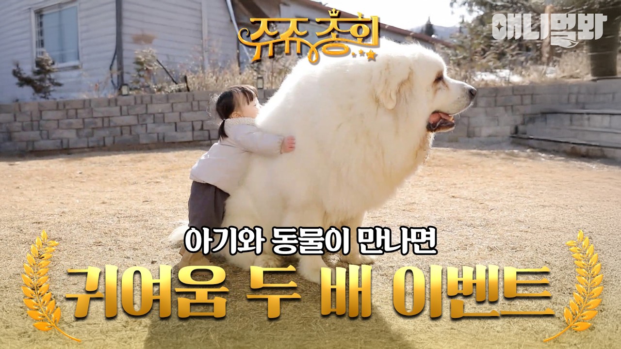 [#쥬쥬총회] 심장 꽉 붙잡고 보세요😍 귀여움이 휘몰아치는 아기와 동물의 조합😻 #TV동물농장 #AnimalFarm #애니멀봐