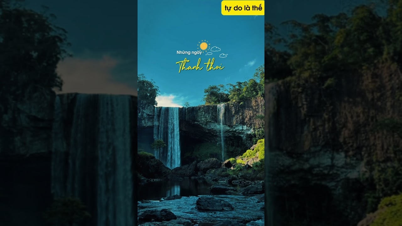 Tự do l&agrave; thế | Freedom Dream - H&agrave;nh Tr&igrave;nh Tự Do #freedomdream #hanhtrinhtudo #yoa #cacanhvanhien