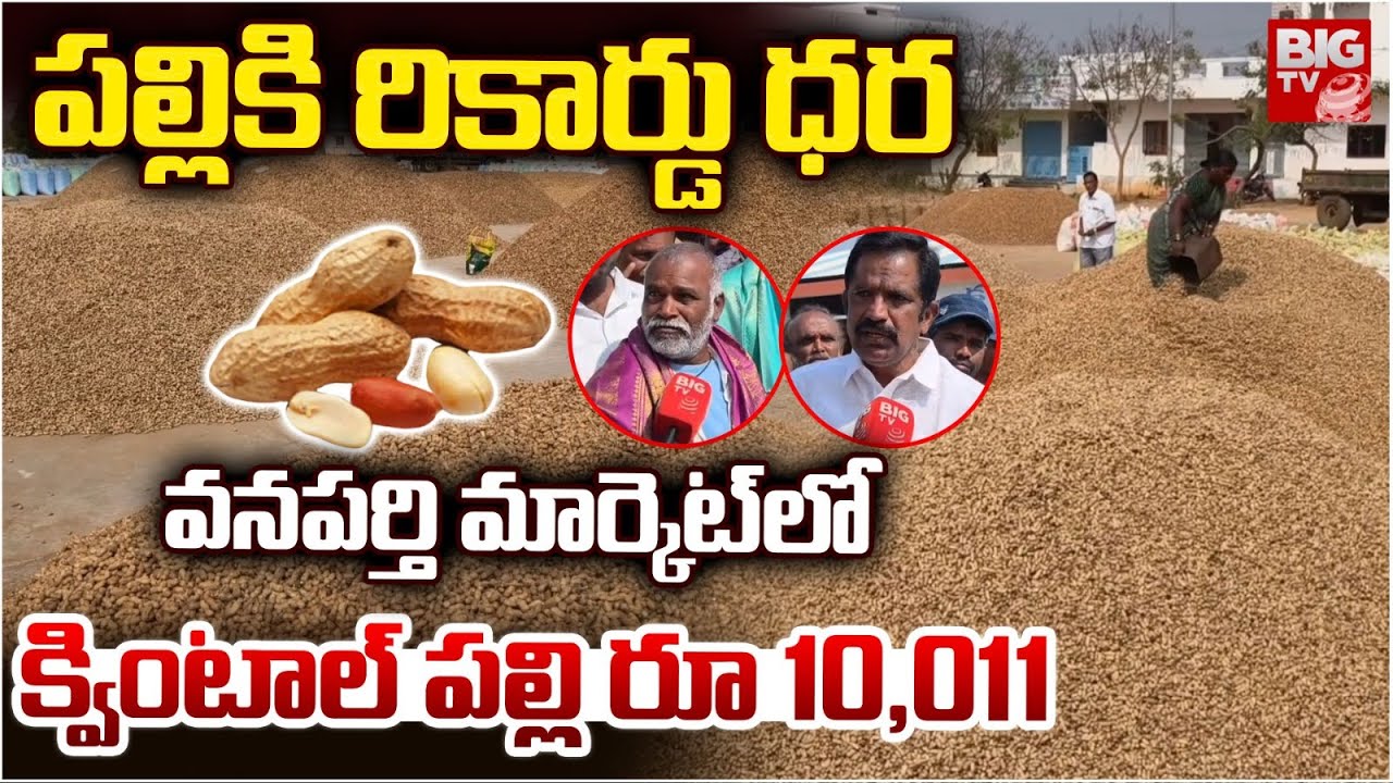 వనపర్తి మార్కెట్ లో పల్లికి రికార్డు ధర | Record Price For Groundnut In Wanaparthy Market | BIG TV
