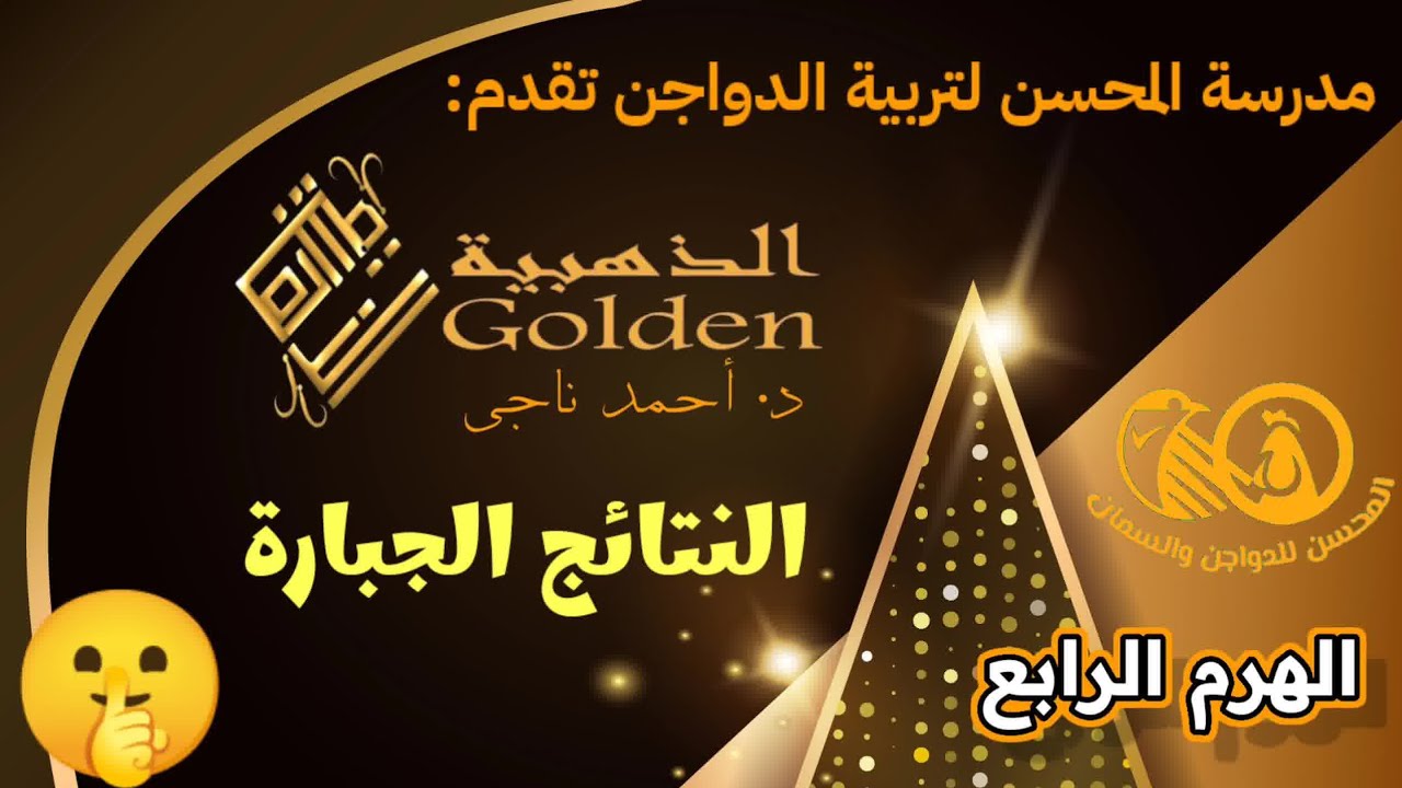 كريم مربي دواجن يقول:المحسن للدواجن مدرستي اللى علمتني التربية👑نتايج جبارة💥البرنامج الذهبي البيولوجي