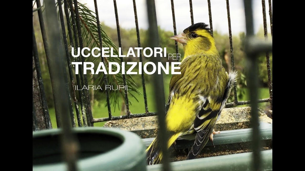 Uccellatori per Tradizione (2016-2017)