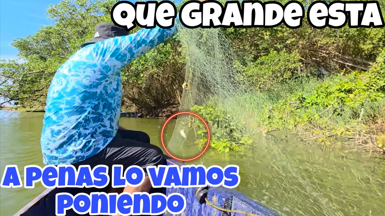 Miren Cuanto Pescado😍Encontro Nano En El Trasmallo🙏🏻