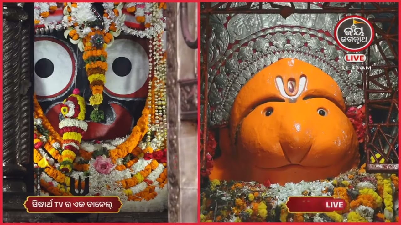 ଆଜି(13-Mar)ଦକ୍ଷିଣଦ୍ୱାର ବଡେହନୁମାନଙ୍କ ଭୋଗ ଆଳତୀ | Jay JagannathTV