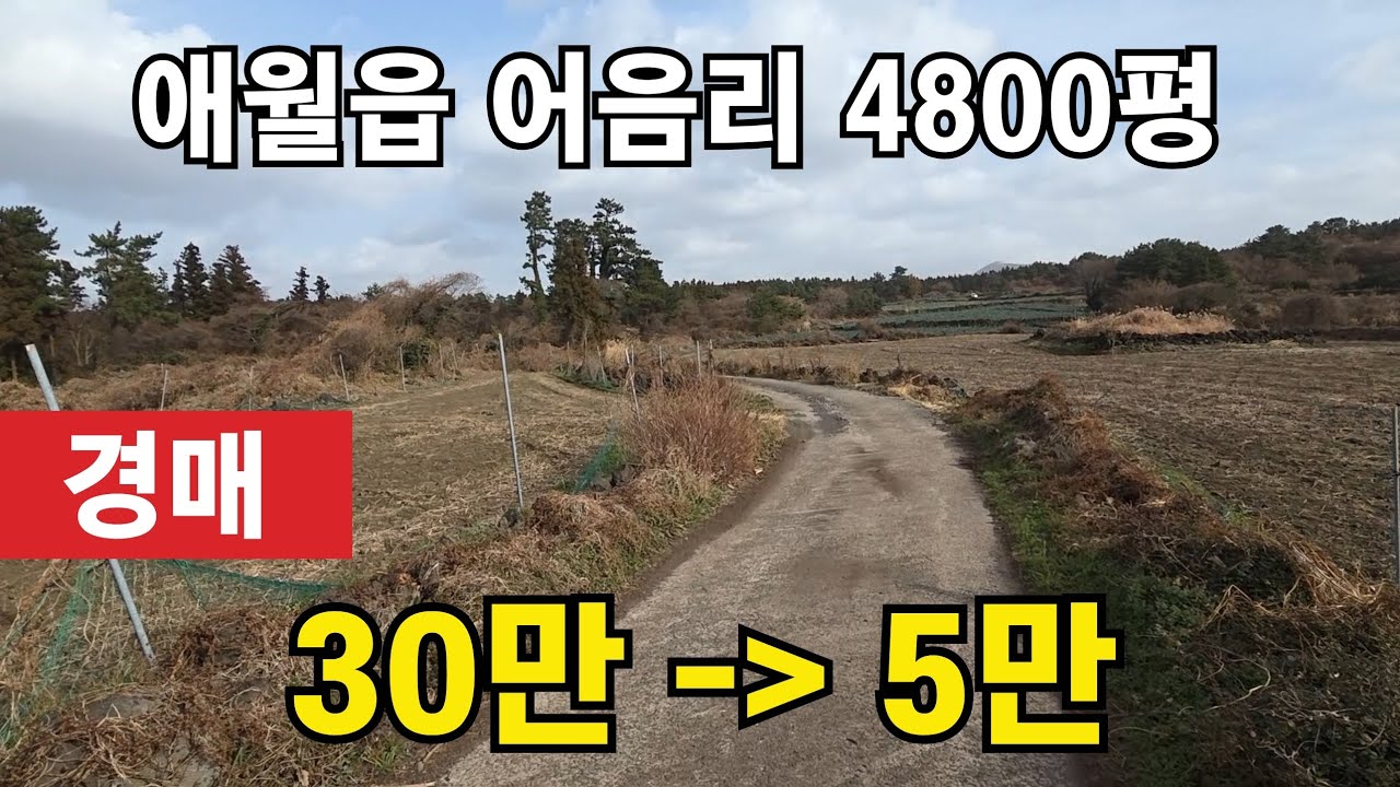 [경매] 제주시 애월읍 어음리 마을인근 밭 임야 4800평 010 4436 0401 #제주도 부동산 토지 매매 #급매물
