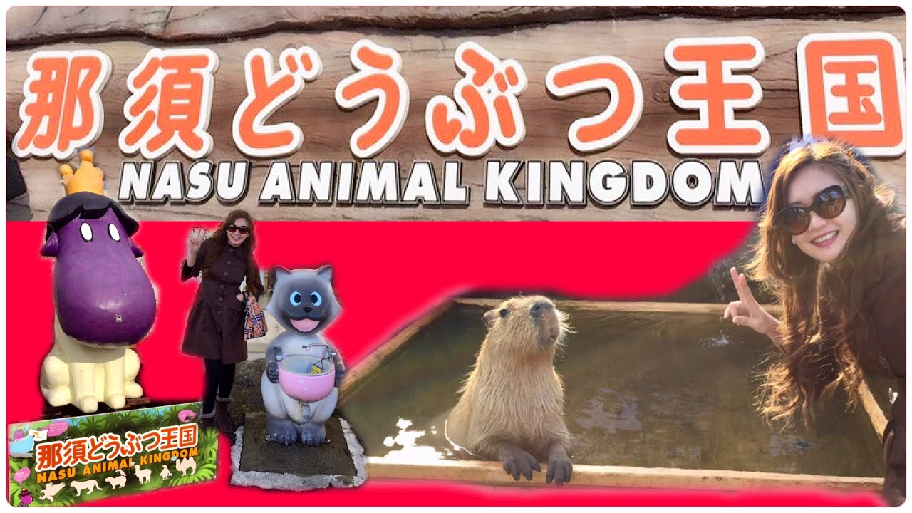 JOURNEY TO NASU ANIMAL KINGDOM 2020 [JAPAN🇯🇵] [EXPLORE JAPAN]