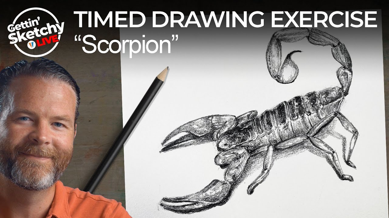How to Draw a Scorpion - Timed Drawing Exercise