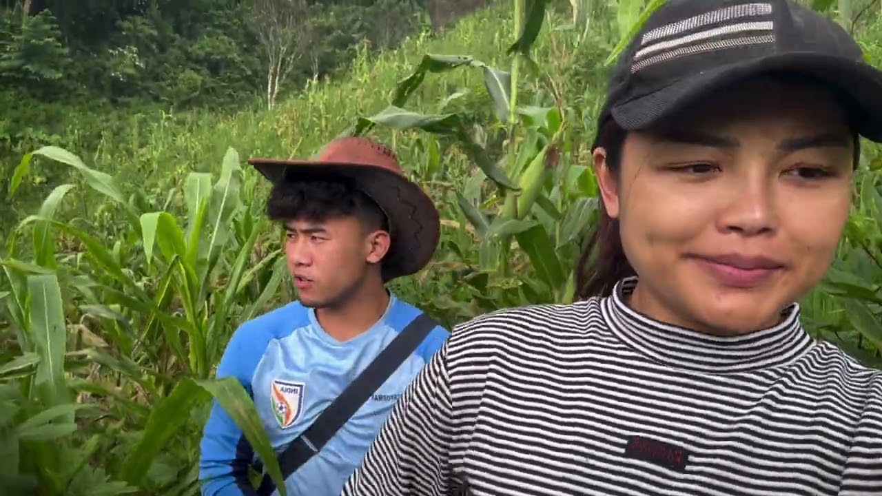 Aizawl tang in ka thian te lo kal ho nen, Ka Nu lo ah kan kal hova, anuam khop mai. ( အမေ့တောင်ယာ )