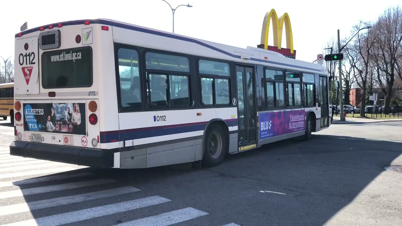 STL Buses in Action (1)