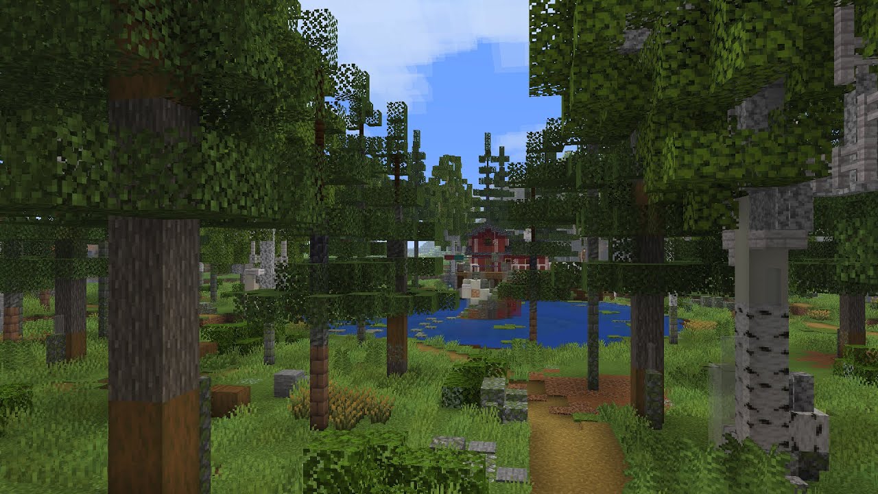 Des arbres, toujours plus d’arbres 🌲(et une petite cabane)