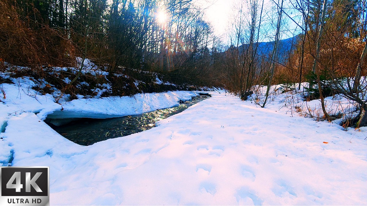 Winter Riverside Serenity | Frozen Banks & Golden Sunlight 4K