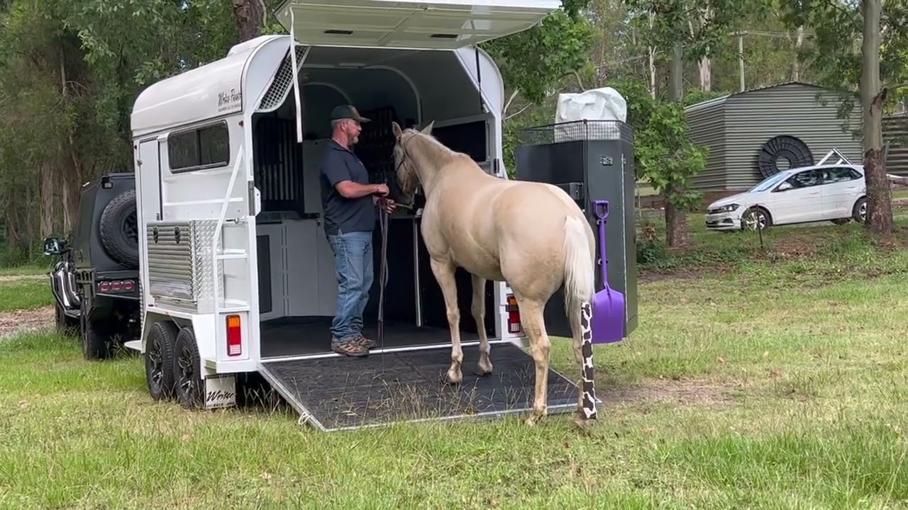 Horse Float Loading Principles HD 1080p