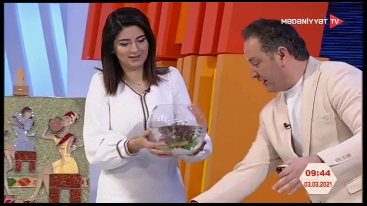 Mütəxəssis Elxan Osmanlı akvariumun qurulması üçün balıq növlərinin seçilməsi qaydalarından danışıb
