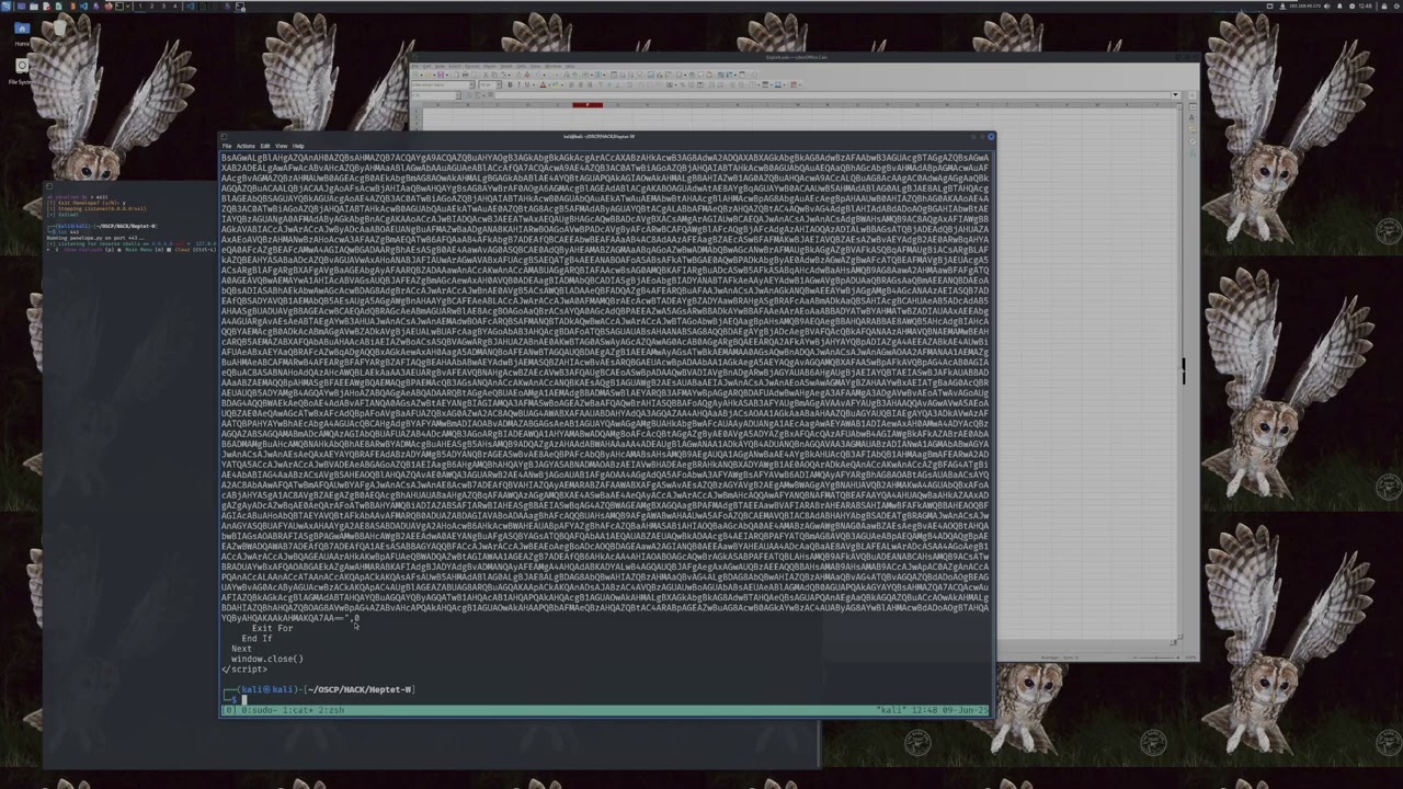 Offsec Proving Grounds Practice &mdash; Hepet  (Just the Macro bit)