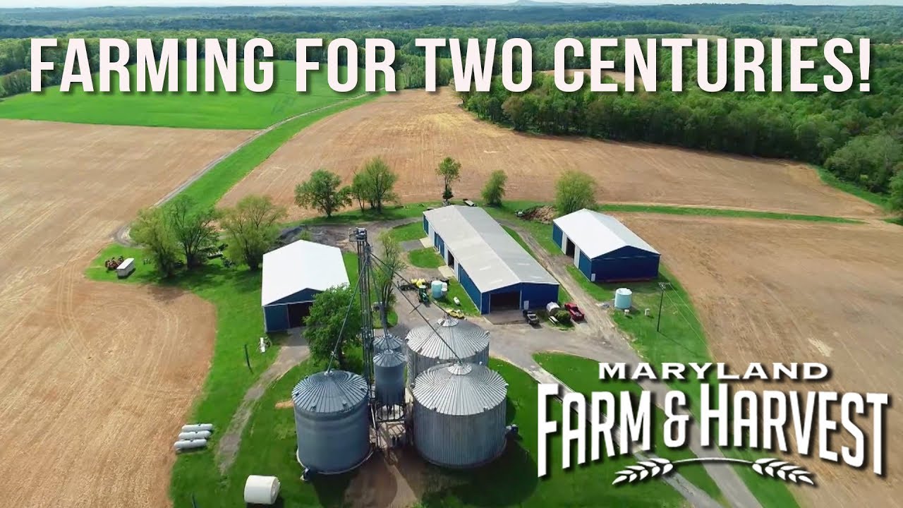 How a Family Farm Changes During Two Centuries | | Maryland Farm & Harvest