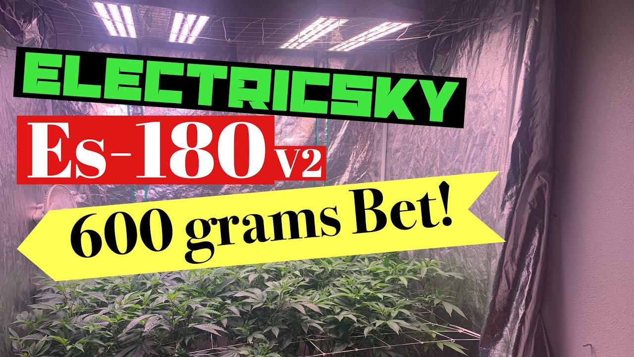 HOW TO GROW OVER 2 GRAMS PER WATT WITH ES180V2 ELECTRICSKY , INTRO