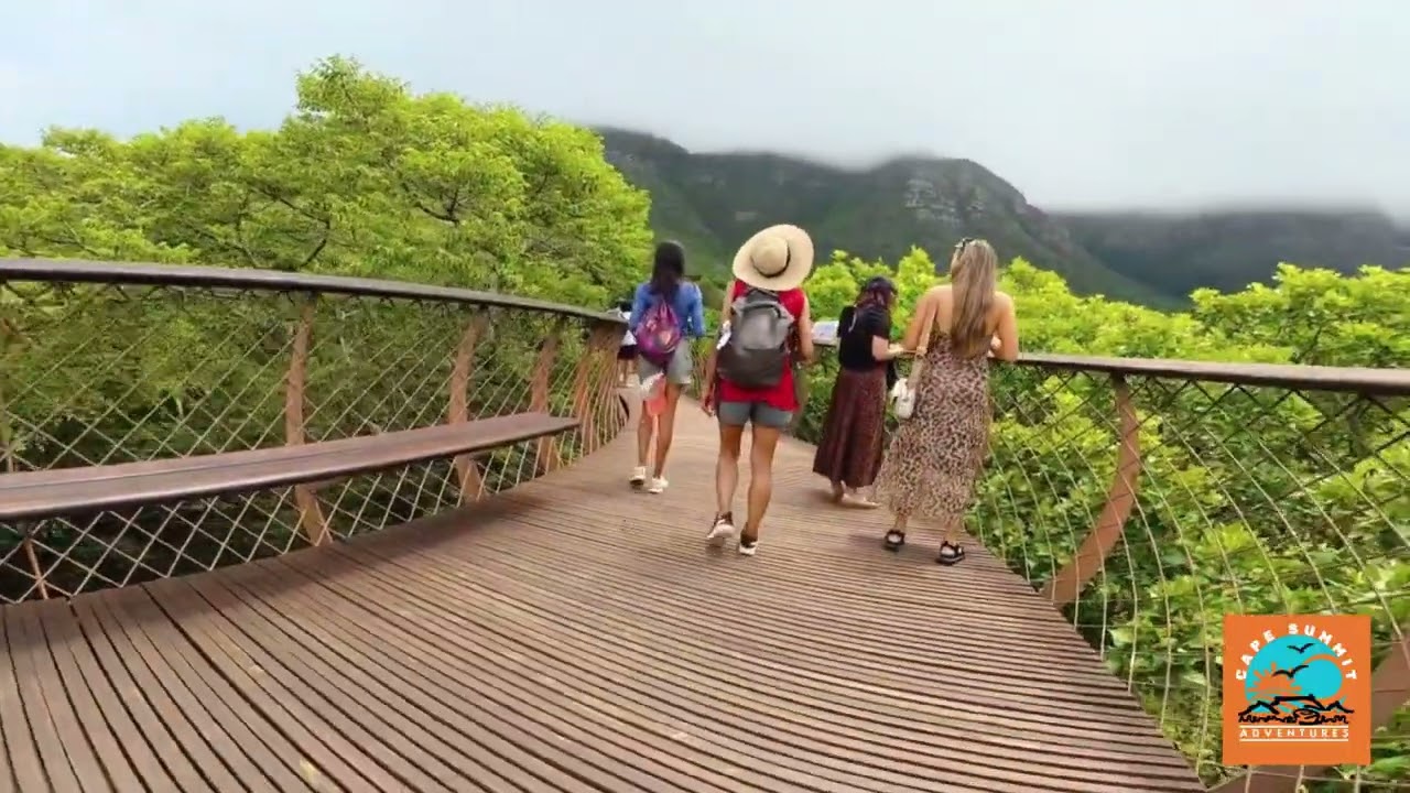 Guided Kirstenbosch Botanical Gardens Tour, Cape Town