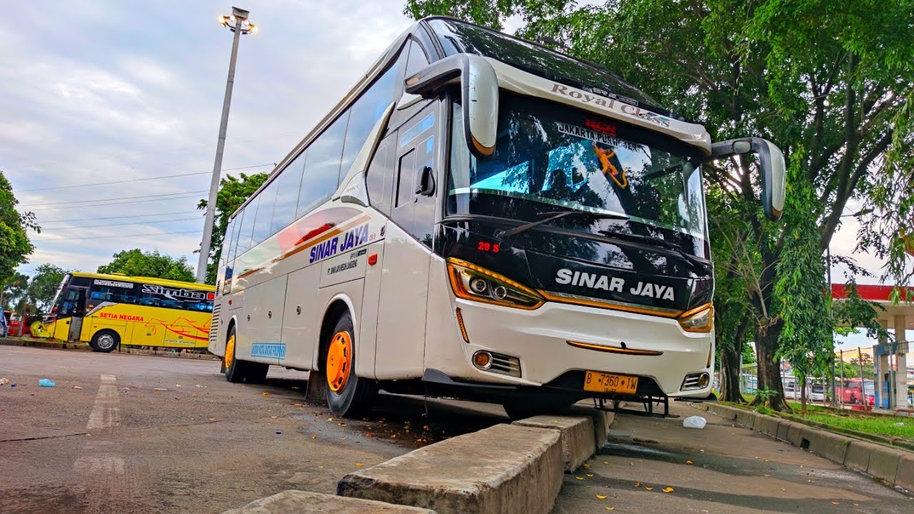 Hunting Bus Sinar Jaya Di Terminal Kampung Rambutan Jakarta