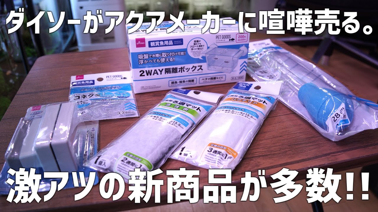 【ダイソー】メーカーが太刀打ちできない価格…DAISOの価格破壊新商品を多数徹底検証&レビュー!!#704【アクアリウム】