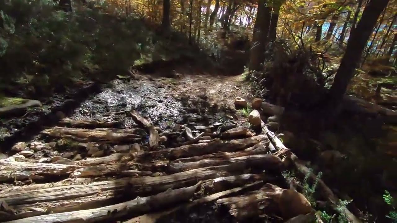 Otoño Cap 3. Lago Guacho - Lago Engaño