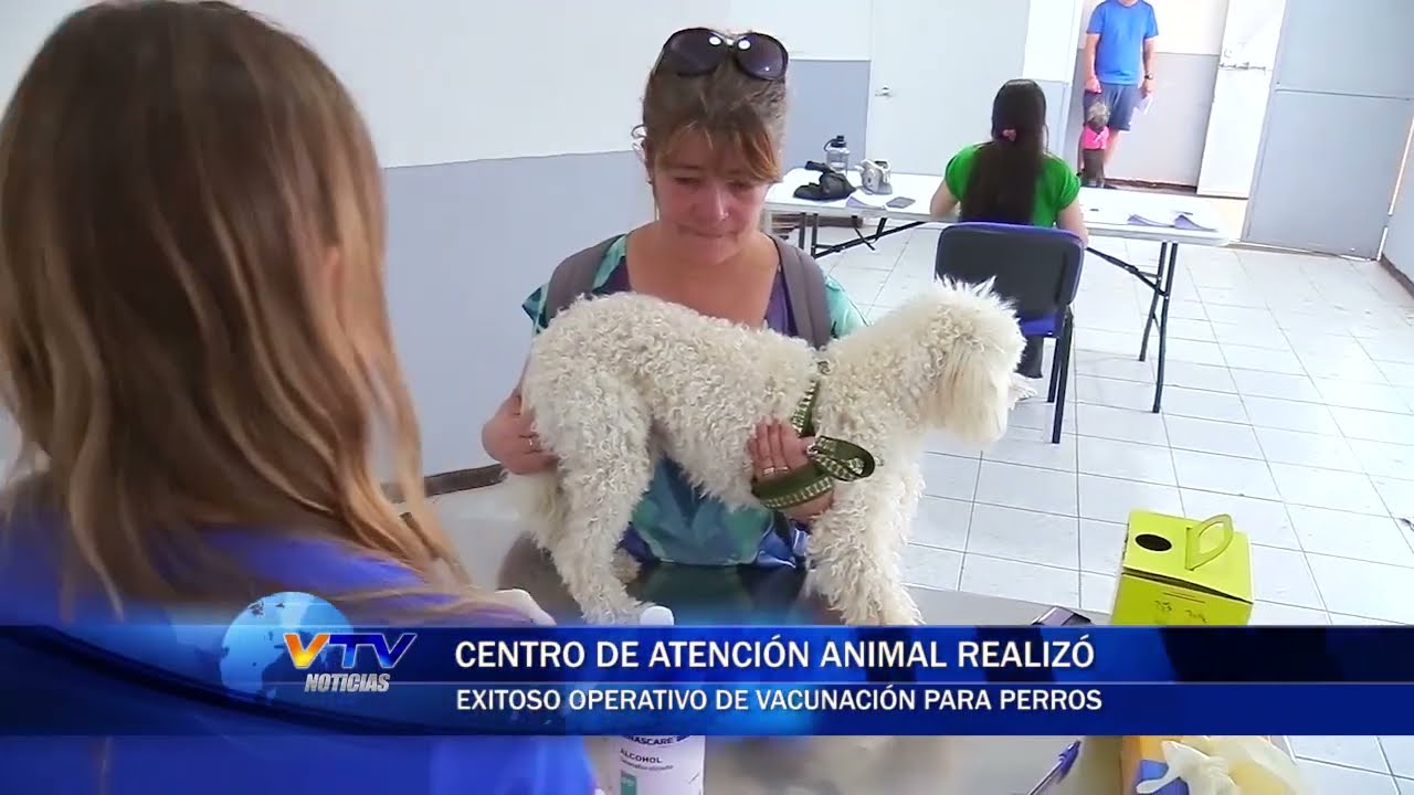 Centro de Atención Animal de Los Andes realizó exitoso operativo de vacunación para perros