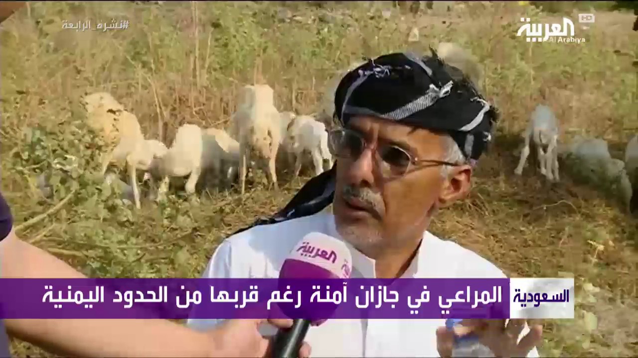 المراعي في جازان آمنة رغم قربها من الحدود اليمنية
