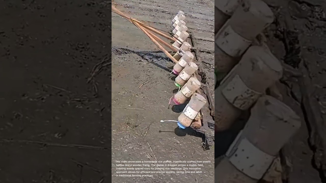 DIY Rice Planter: Ingenious Bottle Seeder for Efficient Farming