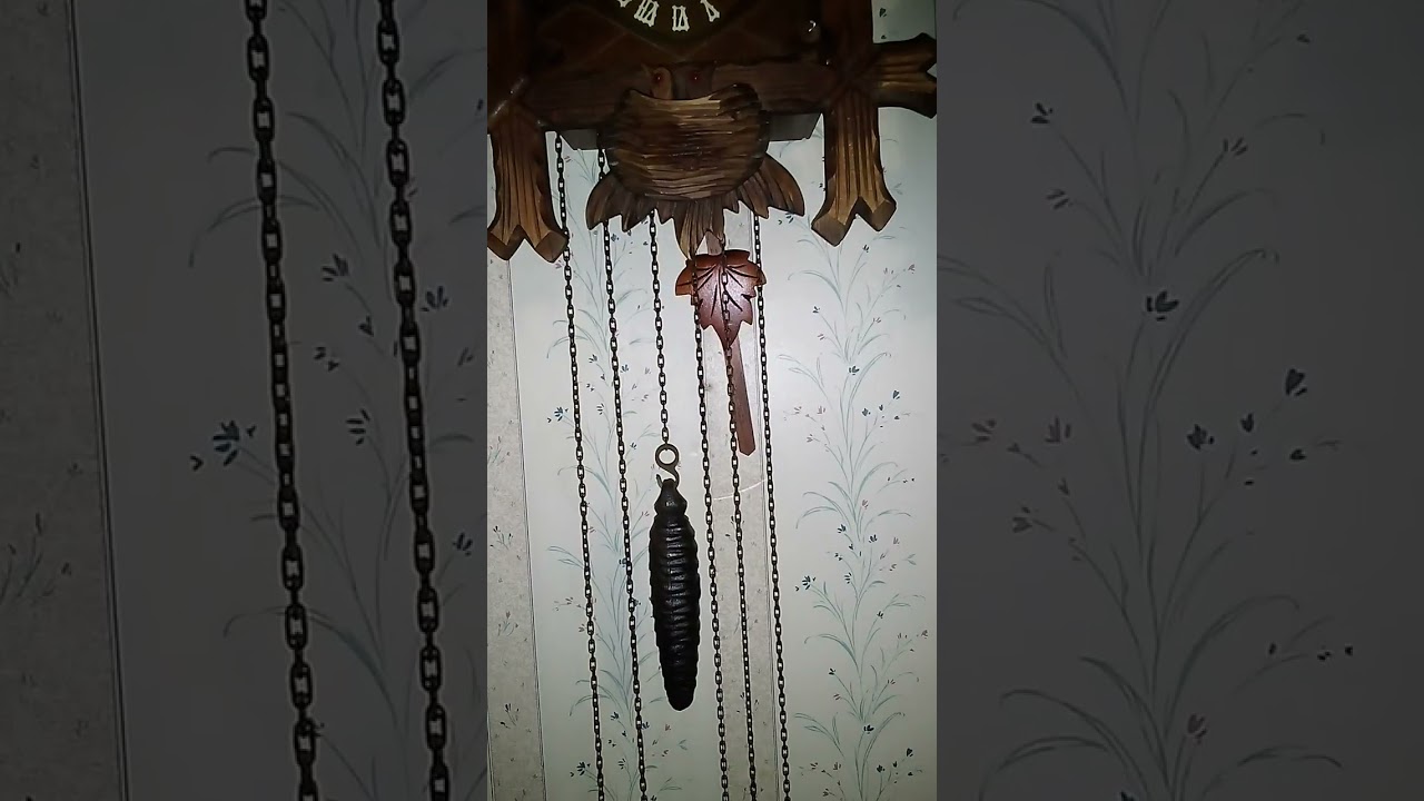 schneider cuckoo clock i bought recently #clock #cuckooclocks 