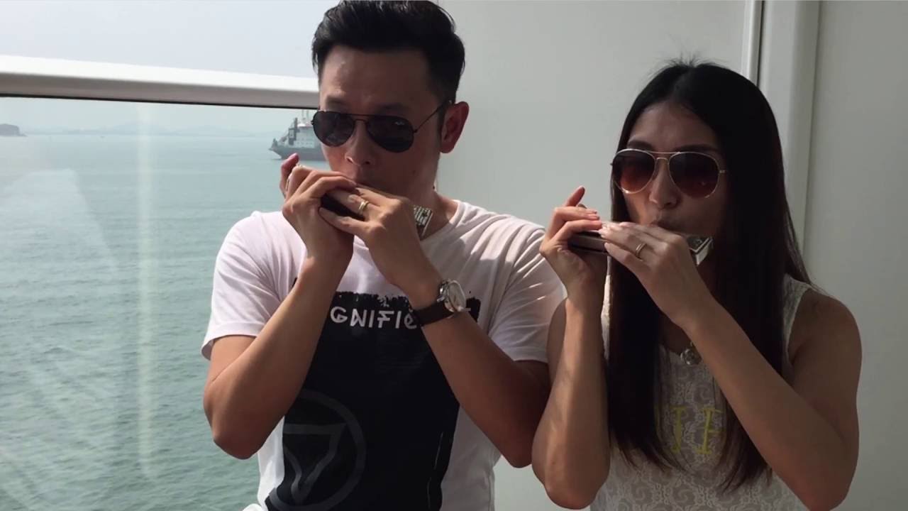 Ed Sheeran - Photograph (Aiden N Evelyn harmonica cover)