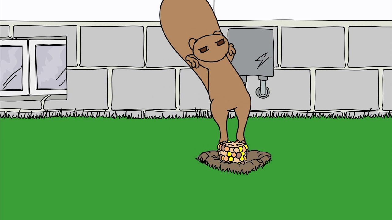 Call or Click Before You Dig