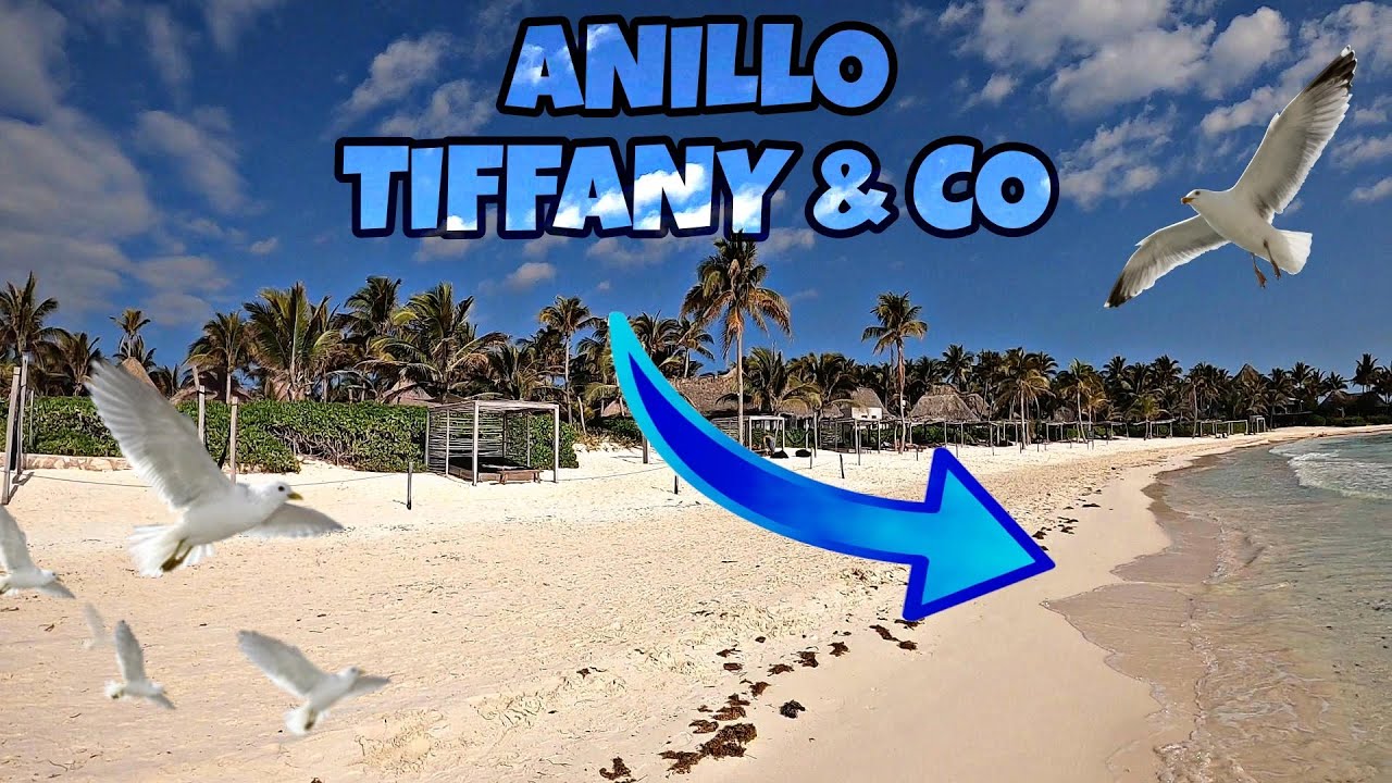 ENCUENTRO Hermoso AnilloTIFFANY  & CO en la Playa con un DETECTOR