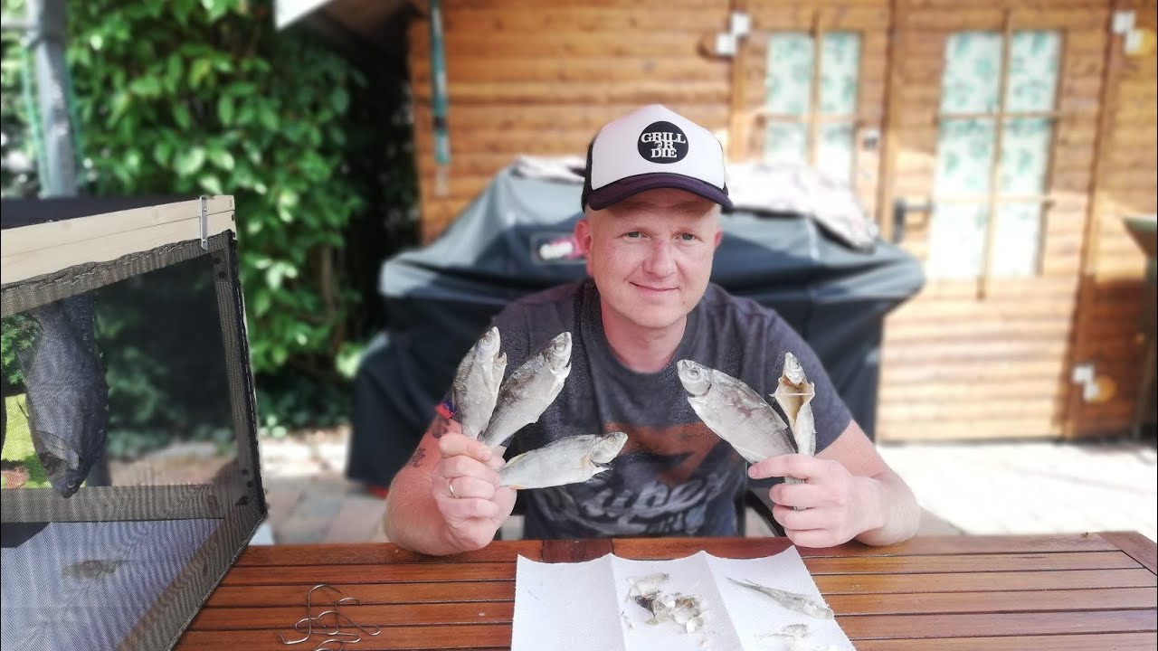 Fisch Salzen und Trocknen Anleitung Rezept