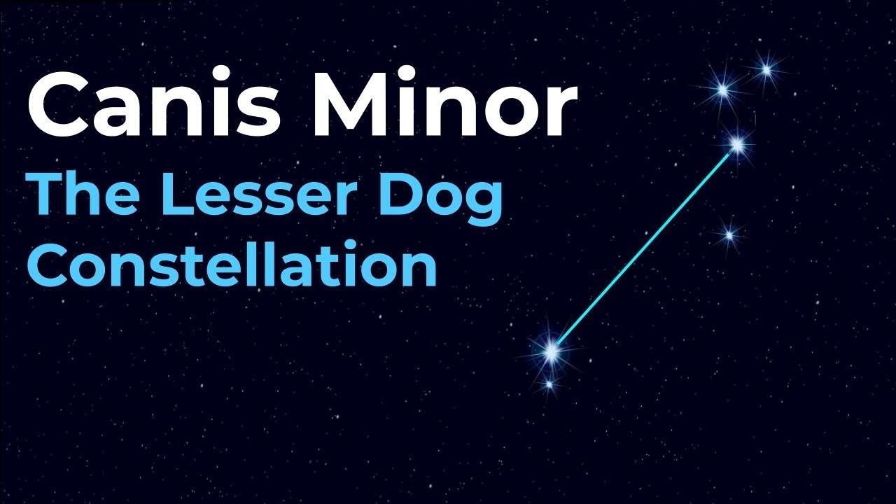 Finding Canis Minor the Lesser Dog Constellation