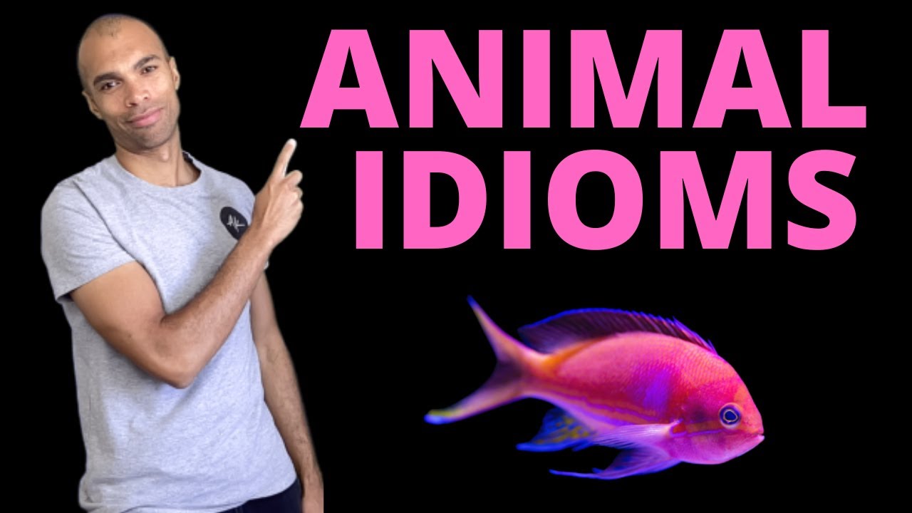 Animal Idioms