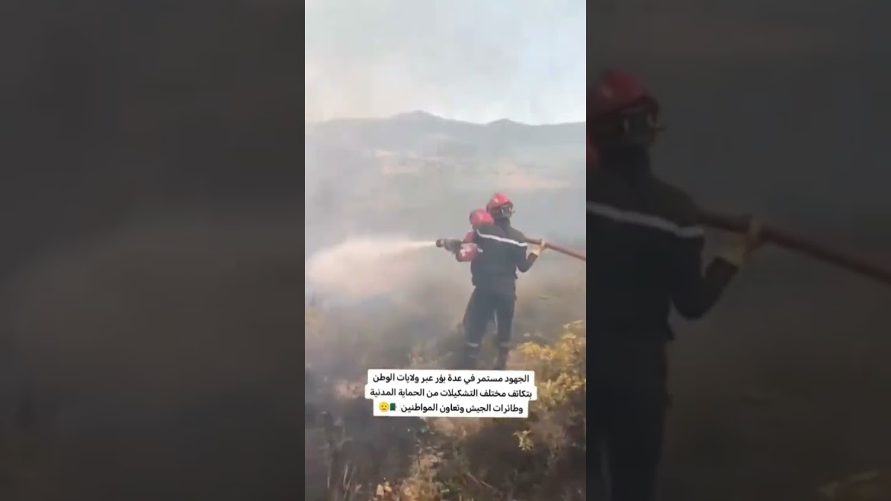 The fires in Algeria have revealed the true metal of this great people who, God willing, will nev...