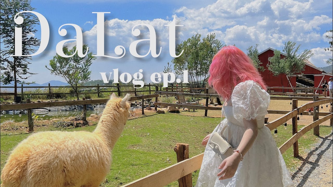 dalat vlog ep.1💐cafe, ăn uống, sống ảo hot hit đà lạt☕️ skincare CHLITINA🧖🏻‍♀️ | kieuchinh2706