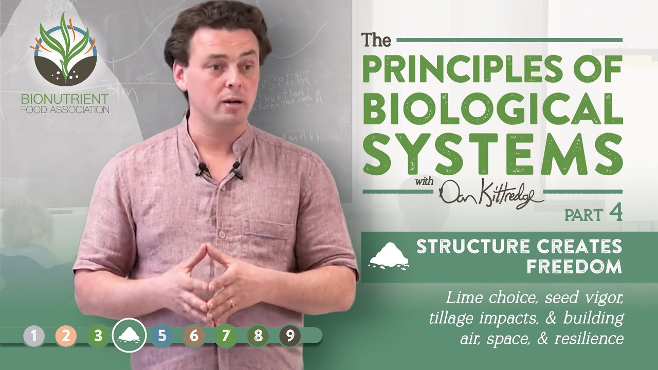 Part 4 of 9: Structure Creates Freedom - The Principles of Biological Systems