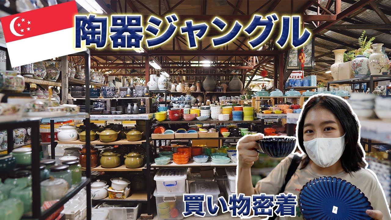 【買い物密着】シンガポールの陶器ジャングルでお宝探し