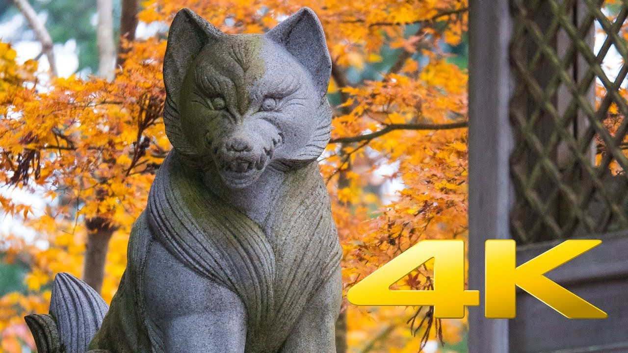 Mount Mitake -Tokyo - 御岳山 - 4K Ultra HD